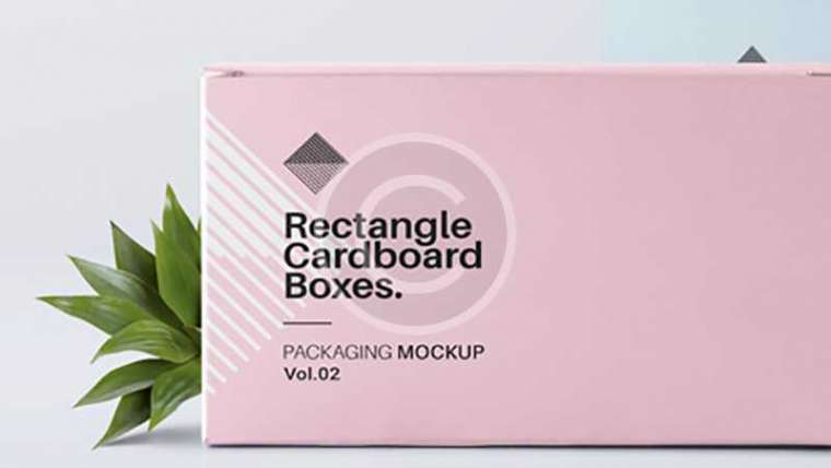 Branding Company Project