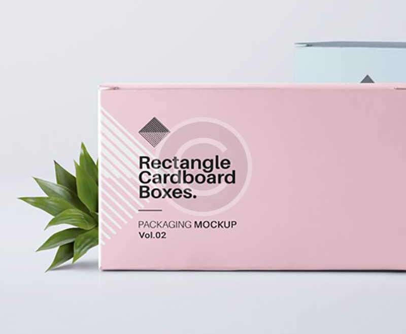 Branding Company Project
